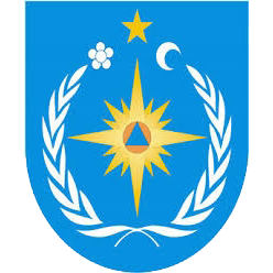 DSE Logo