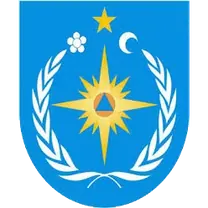 DSE Logo